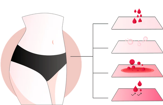 Culotte menstruelle Body&co